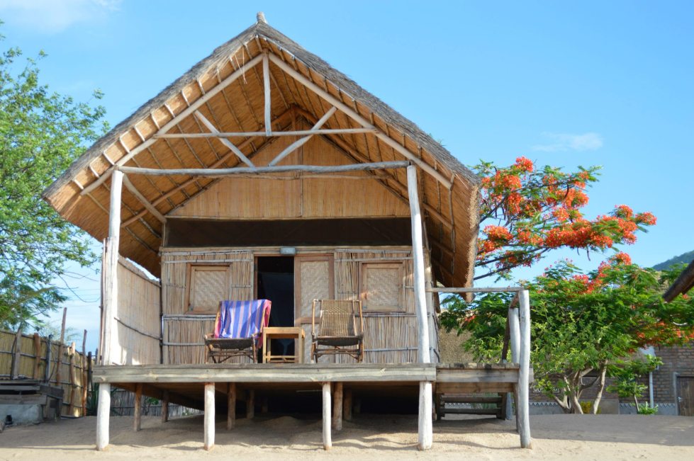 737553_10151226032508170_1748619176_o (1)